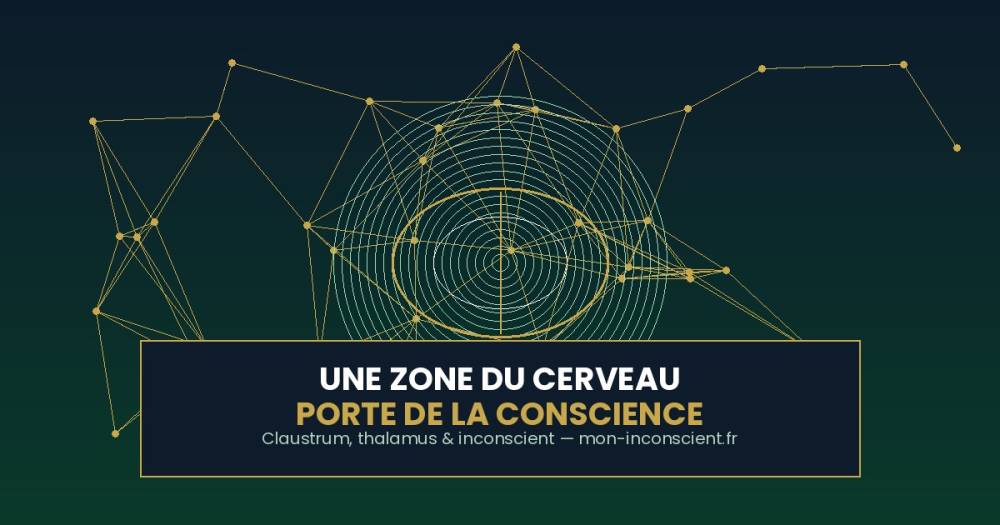 article7_image_a_la_une