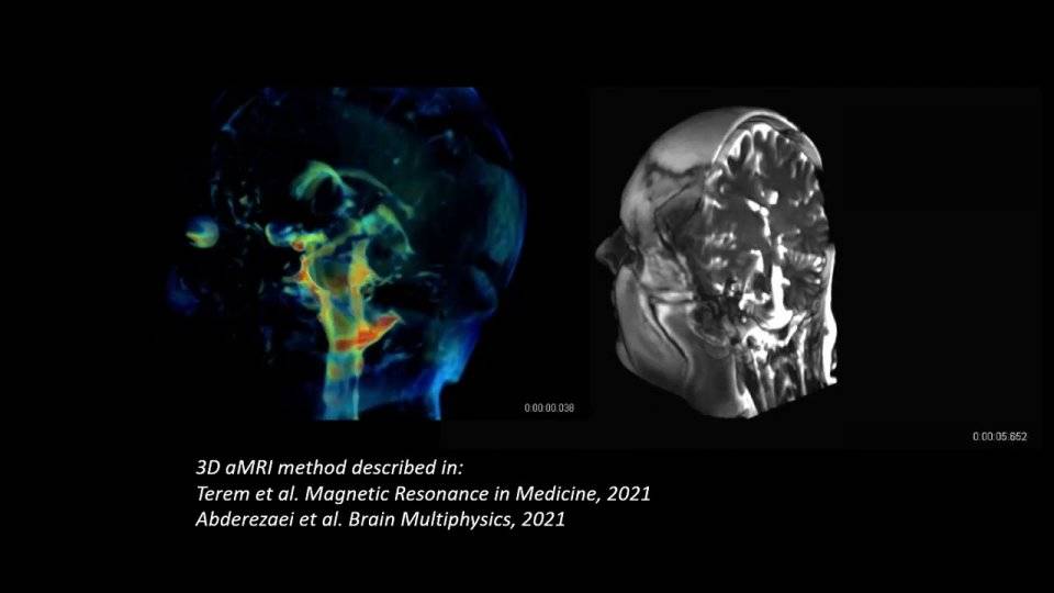 des scientifiques ont suivies 12